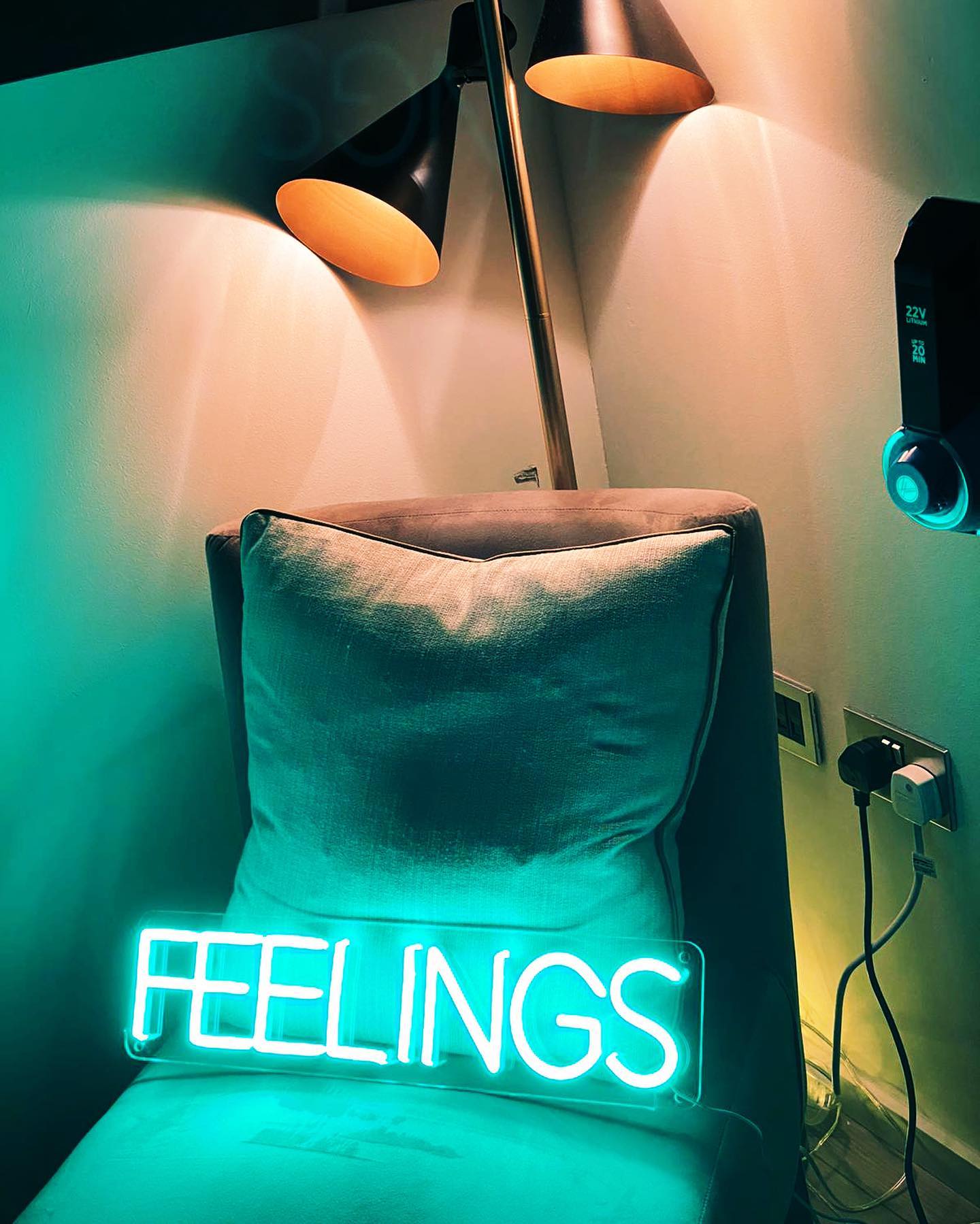 LED neon užrašas "FEELINGS"
