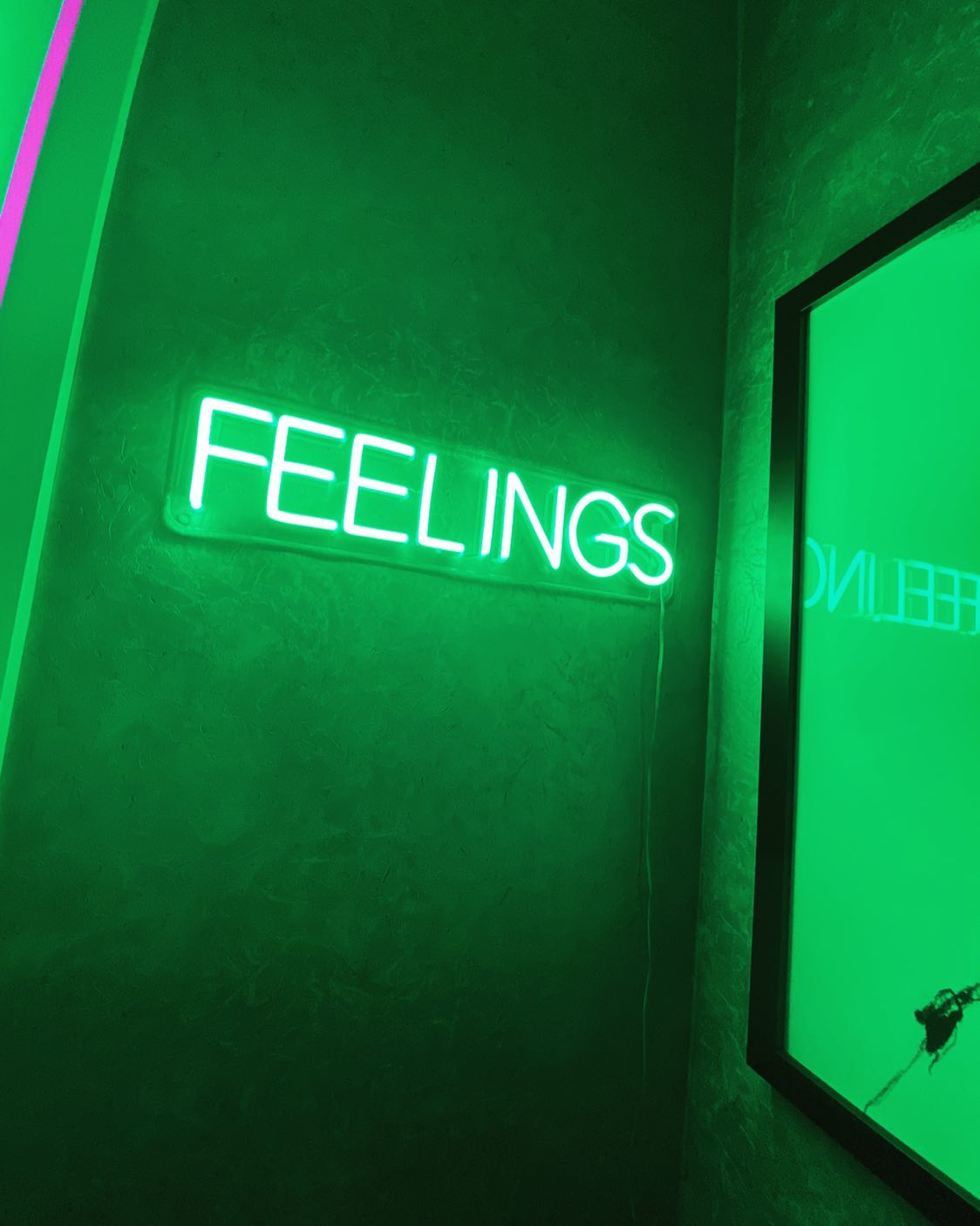 LED neon užrašas "FEELINGS"