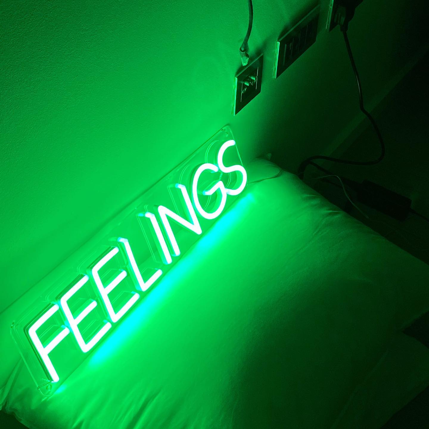 LED neon užrašas "FEELINGS"