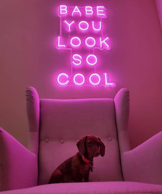 LED neon užrašas "BABE YOU LOOK SO COOL"